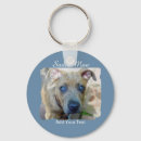 Pesquisar por bulls chaveiros Pit bull