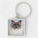 Pesquisar por ragdoll chaveiros Felino