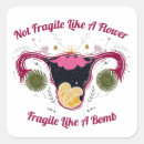 Pesquisar por feminista artesanato material Minha escolha
