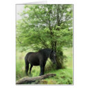 Pesquisar por equestrian cartoes Cavalos