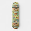 Pesquisar por colheitas skates For her