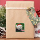 Pesquisar por panda natal adesivos Animais
