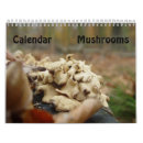 Pesquisar por cogumelos calendarios Natureza