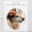 Pesquisar por animais flyers Fofo