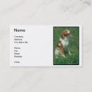 Pesquisar por spaniel de brittany Passeio
