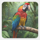 Pesquisar por macaw adesivos Vida selvagem