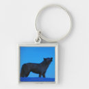 Pesquisar por lobo branco chaveiros Animal