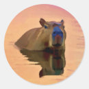Pesquisar por capybara adesivos Bonitinha