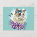 Pesquisar por cat cartoes postais Flor