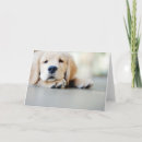 Pesquisar por golden retriever puppy cartoes Cute