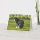 Pesquisar por ciganos cartoes Vanner cigano