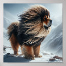 Pesquisar por tibetan pôsteres Cães