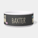 Pesquisar por pug presentes Padrão de pug