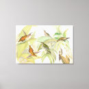 Pesquisar por pássaros tropicais impressão de canvas Animais