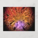 Pesquisar por digital cartoes postais Laranja