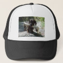Pesquisar por teckel Animal