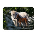 Pesquisar por da cachoeira imas Fantasia