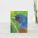 Pesquisar por pretty bird cartoes Blue