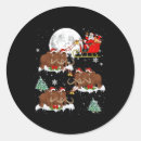 Pesquisar por iluminação adesivos Feriado