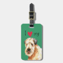 Pesquisar por terrier revestidos macios Terrier wheaten brandamente revestido