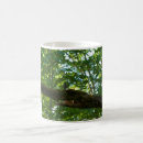 Pesquisar por sobreposição canecas Verde