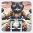 Pesquisar por motos adesivos Motociclista