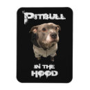 Pesquisar por hoodies imas Cão