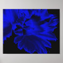 Pesquisar por do daffodil artes pôsteres Azul