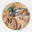 Pesquisar por drake imas Pato