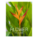Pesquisar por florist pôsteres Jardineiro
