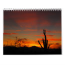 Pesquisar por tucson Saguaro