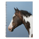 Pesquisar por cavalo do pinto cadernos de notas Headshot