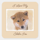 Pesquisar por shiba inu adesivos Cãozinho