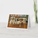 Pesquisar por criadores cartoes Cão