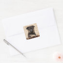 Pesquisar por german shepherd adesivos Animal
