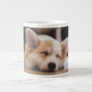 Pesquisar por animals canecas Pembroke welsh corgi
