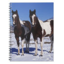 Pesquisar por pinte o cavalo cadernos de notas Estar