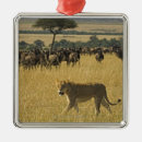 Pesquisar por africa ornamentos Animais selvagens