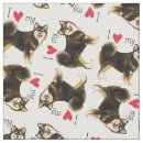 Pesquisar por lapphund Lapphund finlandês