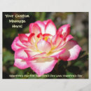 Pesquisar por namorados flyers Rosa