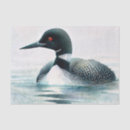 Pesquisar por pato selvagem papeis de seda Natureza