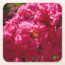 Pesquisar por tree porta copos Rosa