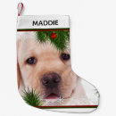 Pesquisar por labrador retriever meias de natal Animais de companhia
