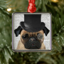 Pesquisar por fofinho ornamentos Animais fofos