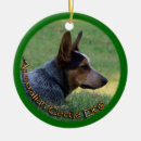 Pesquisar por heeler ornamentos Cão