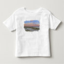 Pesquisar por paira camisetas Sem pessoas