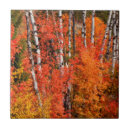 Pesquisar por vermelho azulejos Cor