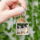 Pesquisar por papillon chaveiros Cachorros