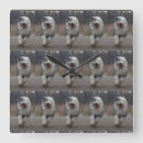 Pesquisar por sheepdog inglês velho Carneiros