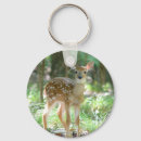 Pesquisar por cervos de whitetail Selvagem